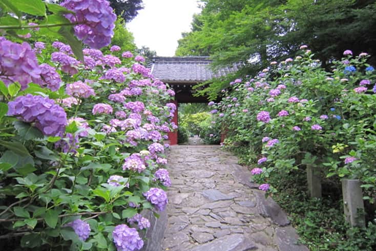幸田町の見どころ